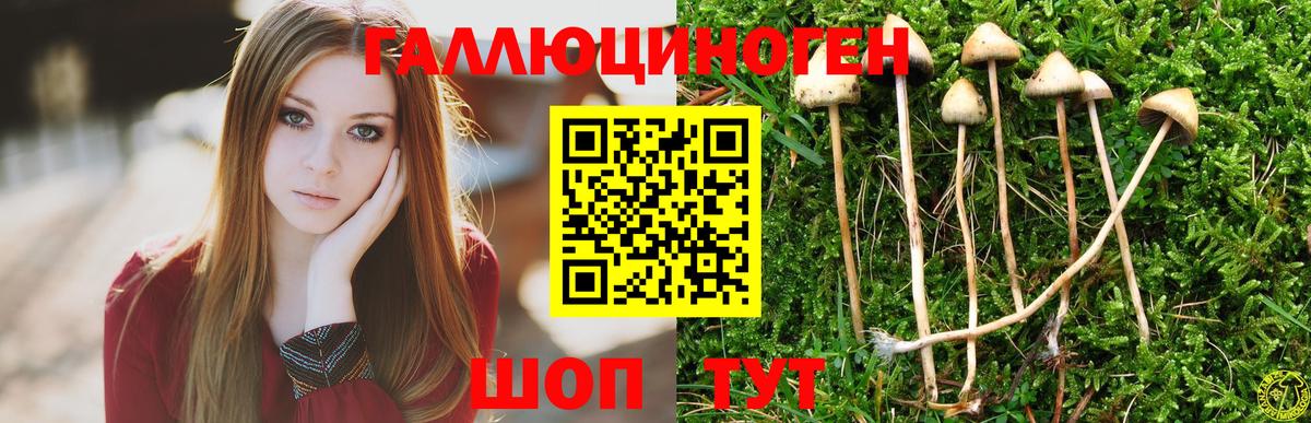 Псилоцибиновые грибы Magic Shrooms Качканар