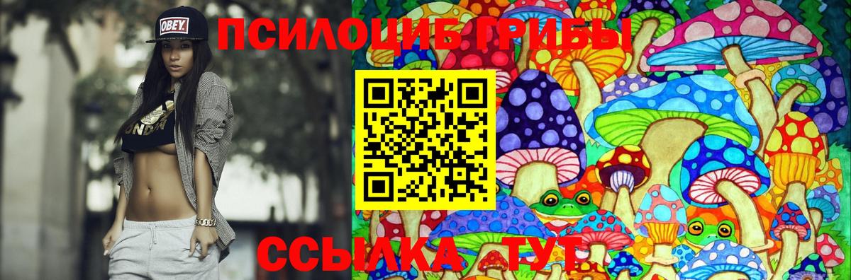 Качканар  Псилоцибиновые грибы Magic Shrooms  Вход с VPN  Галлюциногенные грибы Psilocybe 